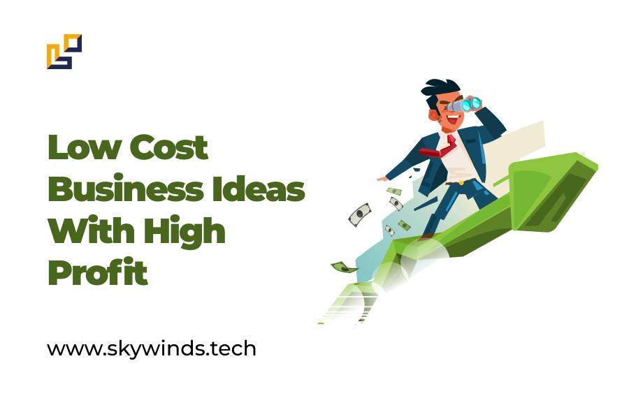 low cost business ideas with high profit